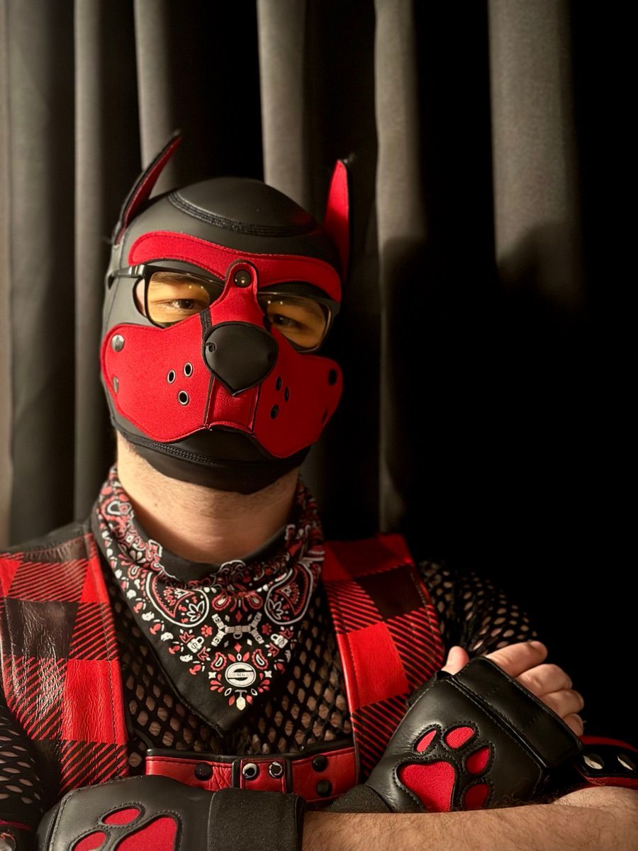 Pyxis in a red-and-black neoprene pup hood, buffalo-plaid flannel, amber goggles and paw gloves.